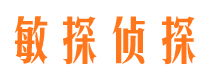 蒙城市侦探调查公司